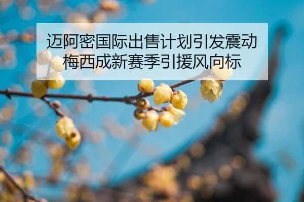 mai-a-mi-guo-ji-chu-shou-ji-hua-yin-fa-zhen-dong-mei-xi-cheng-xin-sai-ji-yin-yuan-feng-xiang-biao-2-888.jpg